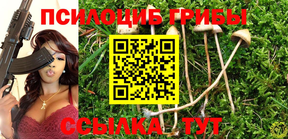 Галлюциногенные грибы мухоморы  Псилоцибиновые грибы MAGIC MUSHROOMS  Медногорск  Вход с VPN 