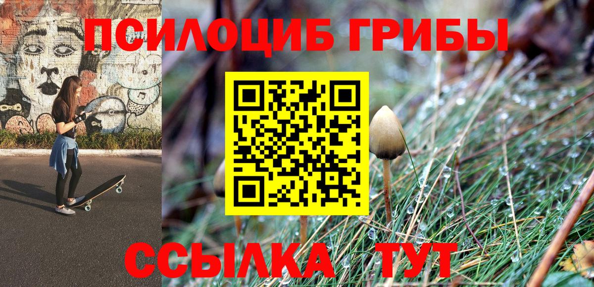 Галлюциногенные грибы GOLDEN TEACHER Медногорск